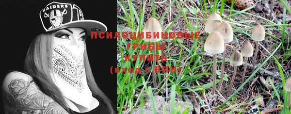 дмт Волгодонск
