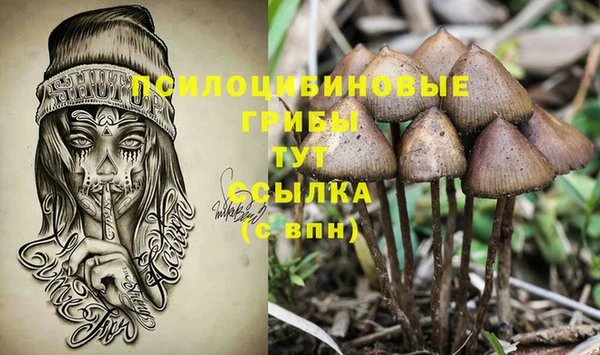 соль ск Медвежьегорск